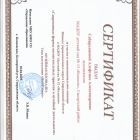 Сертификат музей ложек 25 Сабирьянова.jpg